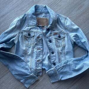 Hollister Light Wash Distressed Cropped Denim Trucker Jacket Size Medium
